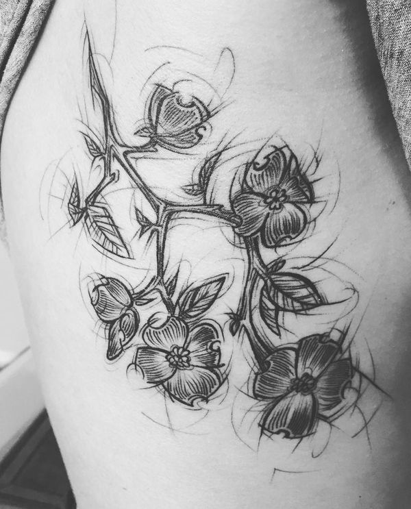 600x743 Dogwood Flower Tattoo Designs And Meaning - Sketch Flower Tattoo