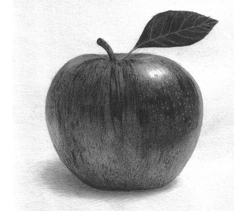 Sketch For Apple at PaintingValley.com | Explore collection of Sketch ...