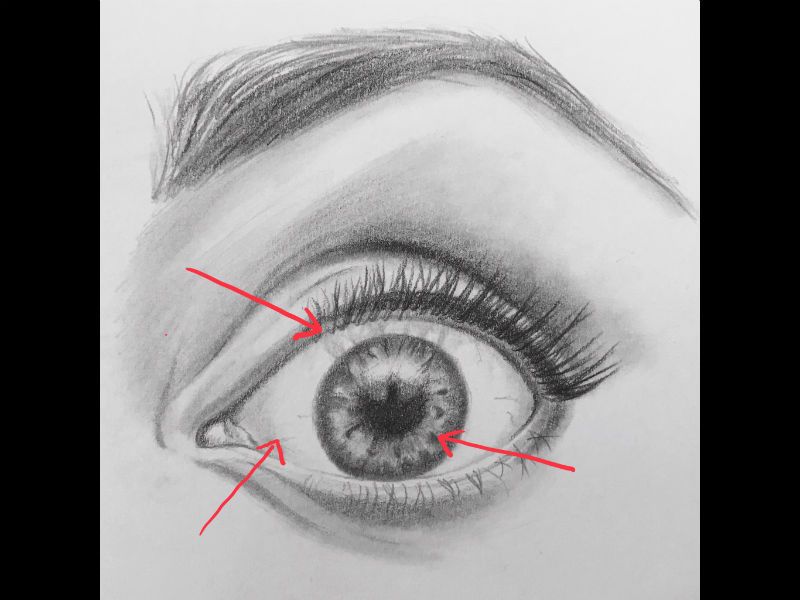 800x600 Common Mistakes When Drawing Eyes - Sketch For Eyes