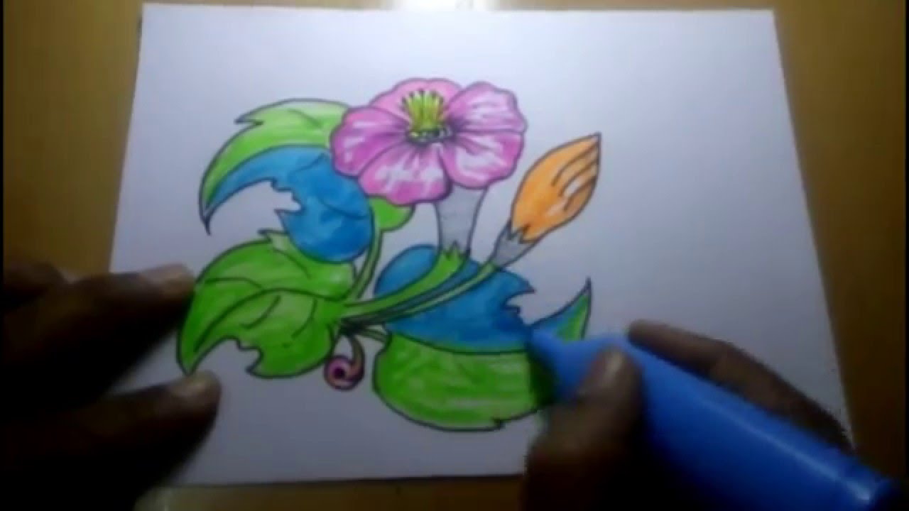 1280x720 Free Hand Sketch With Colour - Sketch For Flowers