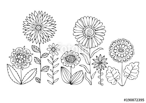 500x354 Hand Drawn Flowers. Sketch For Anti Stress Adult Coloring Book In - Sketch For Flowers