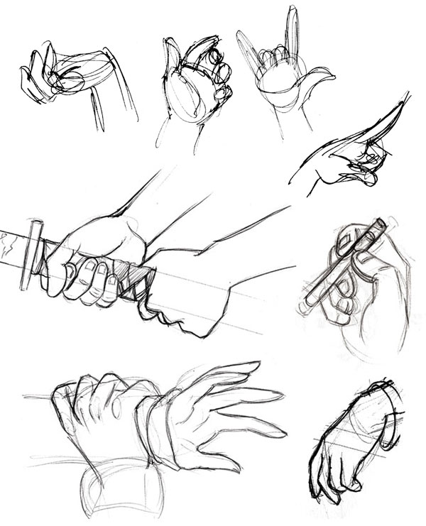 600x741 Human Anatomy Fundamentals How To Draw Hands - Sketch For Sketch