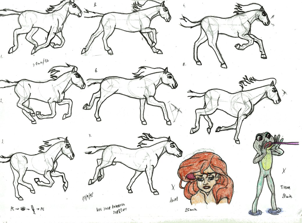 1040x768 Horse Animation Sketch Frames By Elfman83ml - Sketch Frames