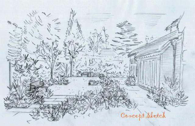 640x414 From The Drawing Board Concept Sketches For A Garden In Woking - Sketch Garden