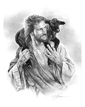 174x220 The Good Shepherd - Sketch Good