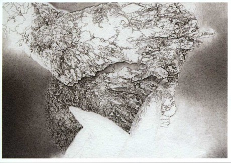 460x325 Kb Ane Graff - Sketch Graff