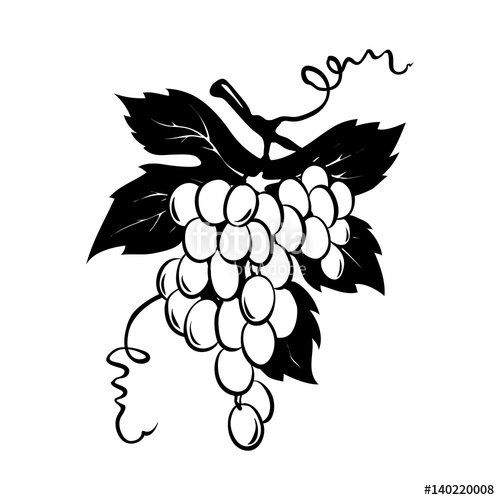 500x500 Design Elements - Sketch Grapes