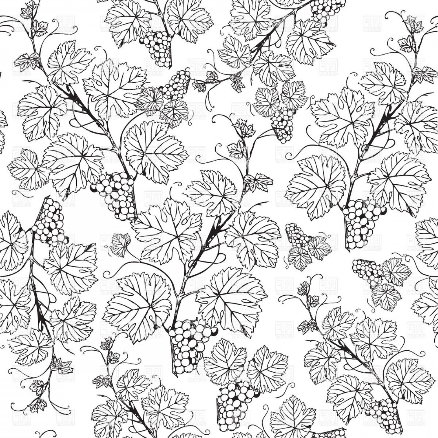 1440x1440 Grape Vine Sketch Pattern Vector Clipart Shopatcloth - Sketch Grapes