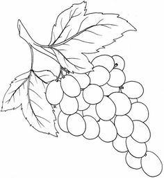 236x257 122 Best How To Draw Plants Images Paintings - Sketch Grapes