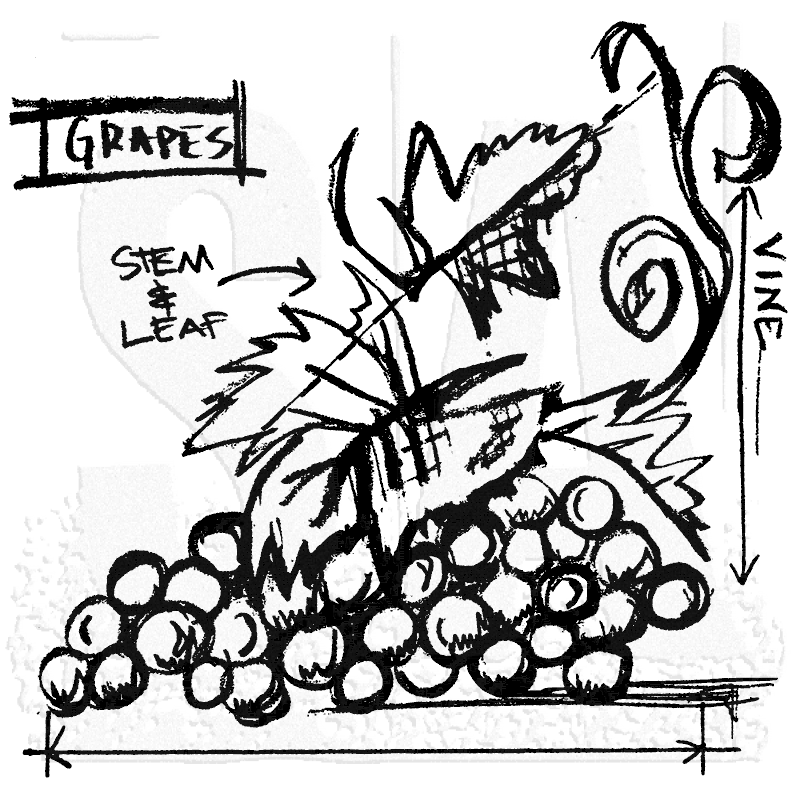 800x800 Tim Holtz Wood Mounted Stamp Grapes Sketch P1 3175 - Sketch Grapes