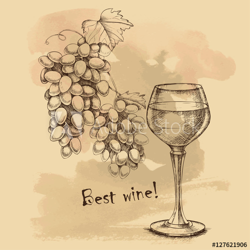 500x500 Vector Sketch Grapes, Wine Of For Design - Sketch Grapes