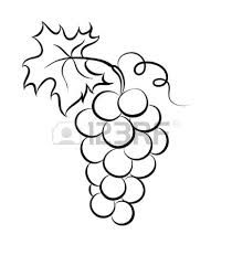 210x241 Pencil Drawing Of Grapes Drawings Drawings - Sketch Grapes