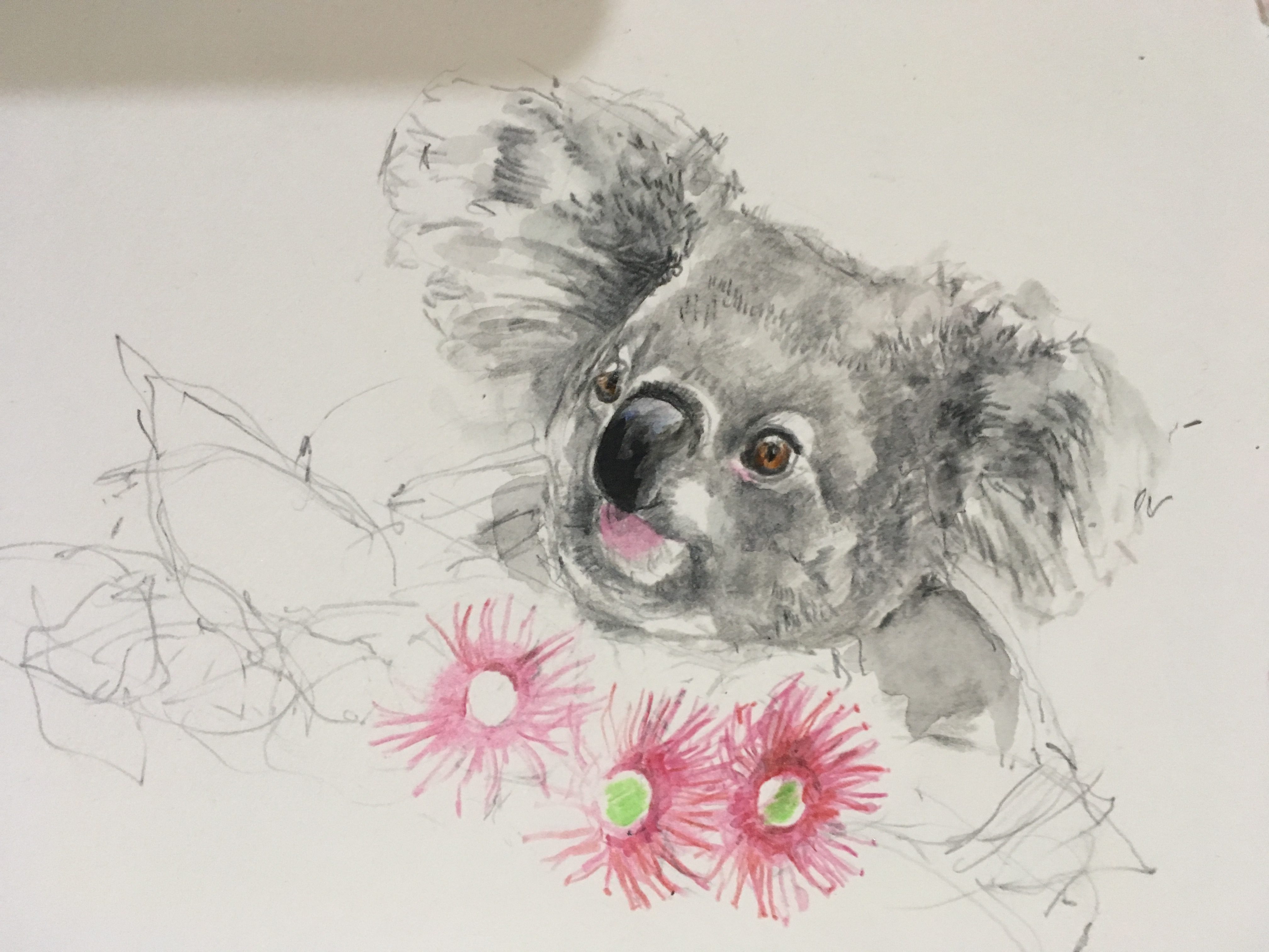 4032x3024 Greeting Cards From Sketch To Store Alissa Duke - Sketch Greeting Cards