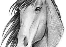 257x183 Sketch Guru Download And Install Android - Sketch Guru