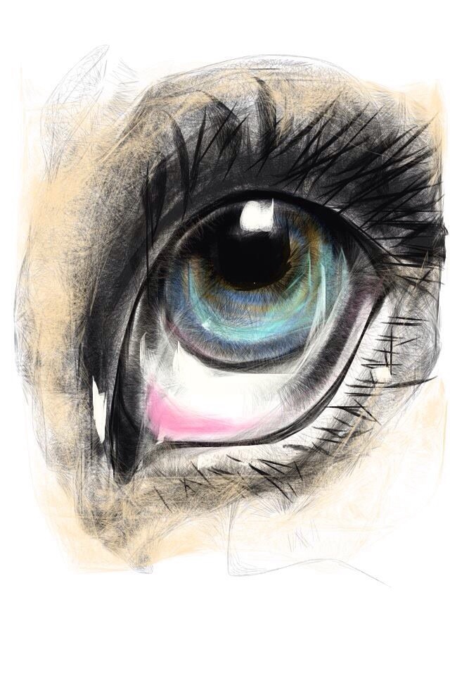 640x960 I Made This Painting With Sketch Guru On Iphone Muaudesign - Sketch Guru