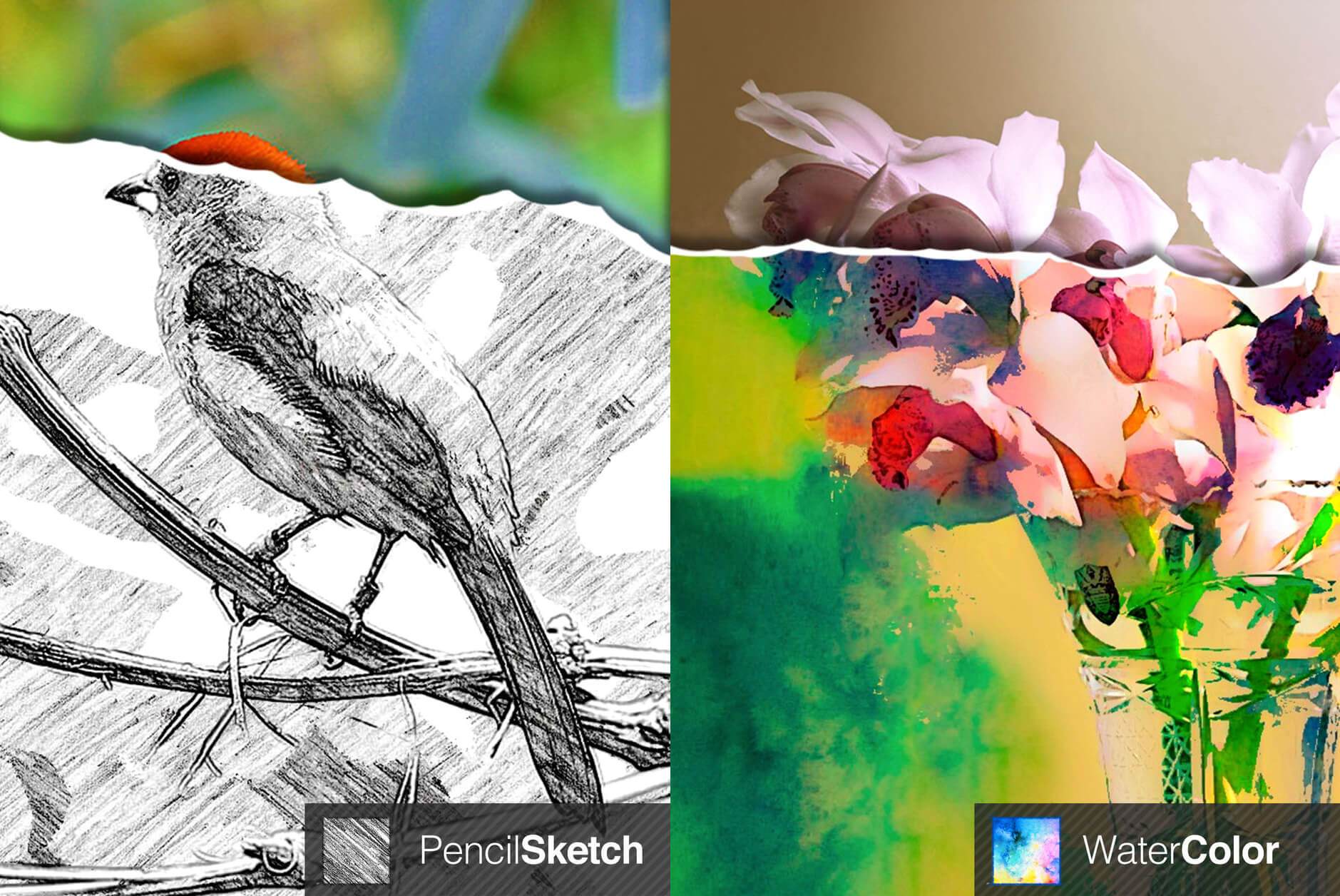 1879x1256 Make Your Photos Look Like A Drawing Or Painting With Sketch Guru - Sketch Guru