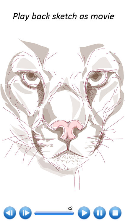 423x750 Sketch Guru - Sketch Guru App