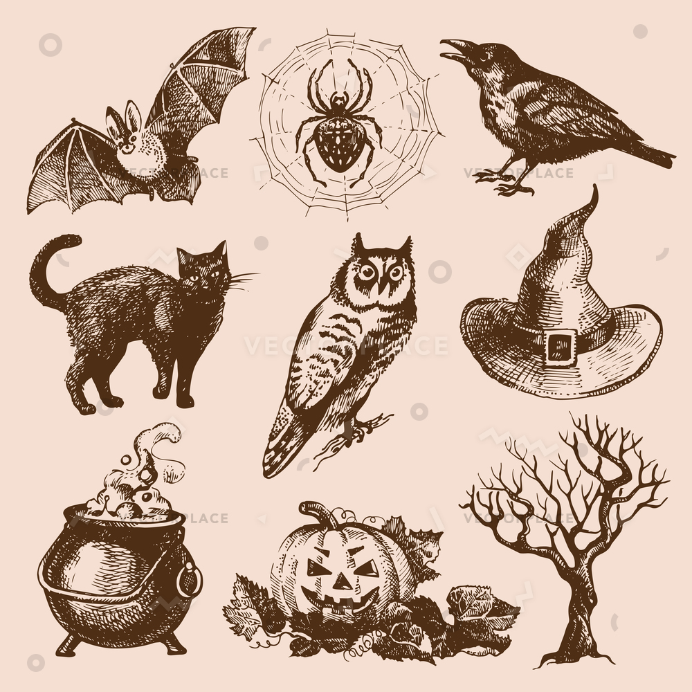 1000x1000 Sketch Halloween Elements Set Bat Black Vector Illustration 43739 - Sketch Halloween