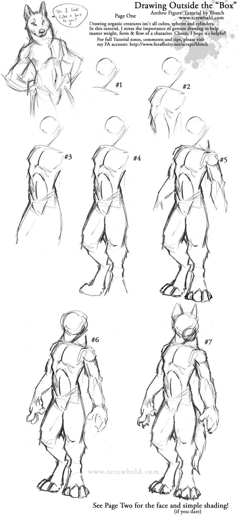 798x1720 Sketching Tutorial Breaking Out Of The Box Screwbald - Sketch Help