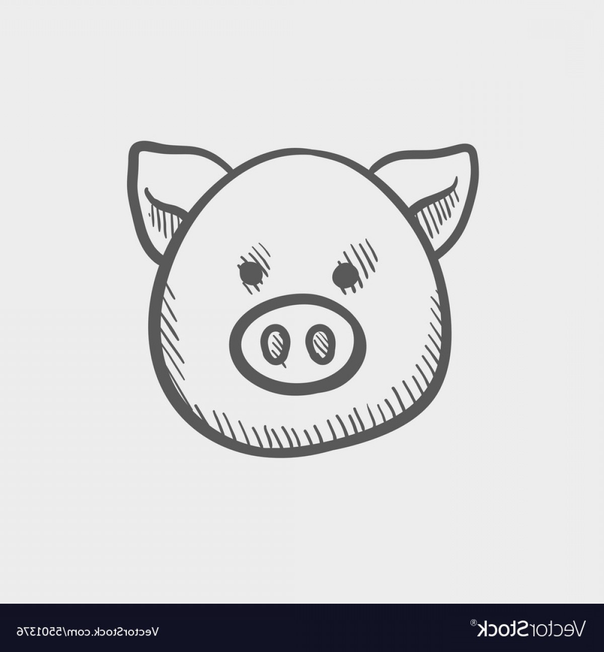 1200x1296 Pig Face Sketch Icon Vector Shopatcloth - Sketch Icon Vector
