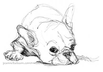 432x302 French Bulldog Art Still A Dreamer - Sketch In French