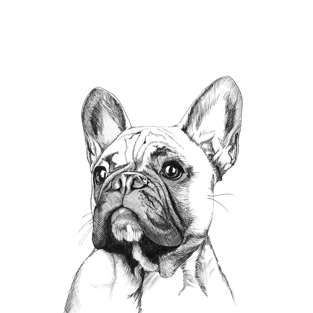 1024x1024 French Bulldog Print By Rosie Noses - Sketch In French