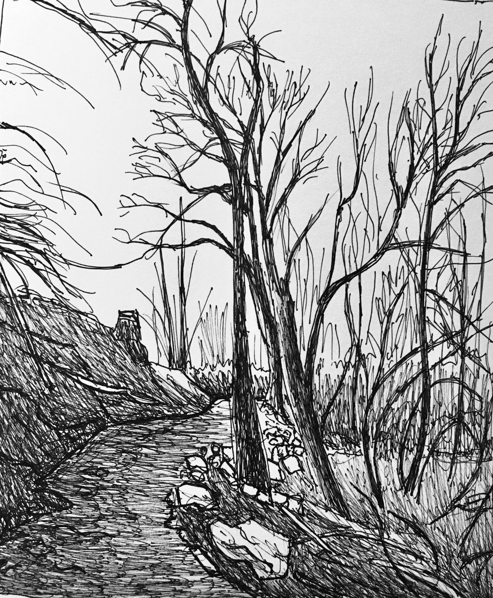 1000x1213 Drawings Kristine L. Kordell - Sketch L