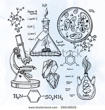 450x470 Hand Drawn Science Vintage Laboratory Icons Sketch. Vector - Sketch Lab