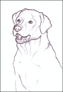 209x302 Lab Sketch By Nikkiburr - Sketch Lab