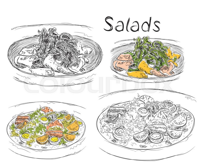 800x659 Hand Drawn Business Lunch Menu. Salads Sketch. Stock Vector - Sketch Lunch