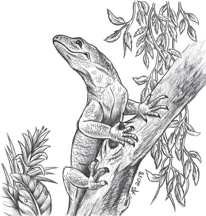 872x915 Lizard Lunch Sketch By Fireberd904 - Sketch Lunch