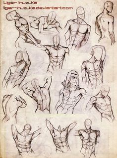 236x317 Male Body Sketches Sketchesdrawingstips - Sketch Male