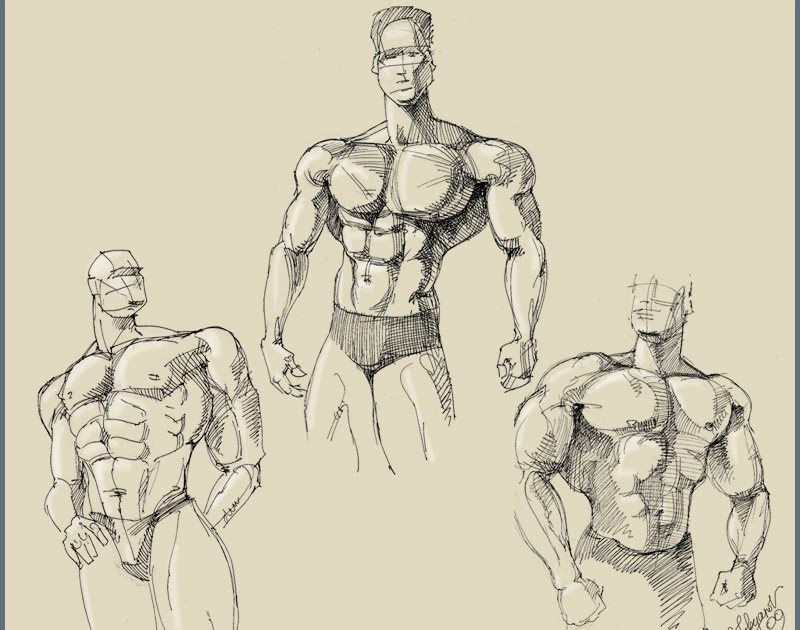 800x630 Strong Body Men Sketch - Sketch Male