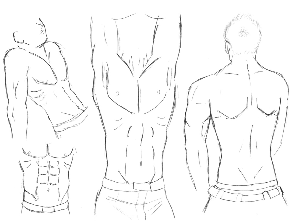 1000x748 Sketch Male Body Study By Hikarurauchio - Sketch Male