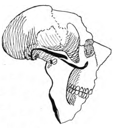 457x509 Drawing Maps Africa, Ca. 1900 Making Maps Diy Cartography - Sketch Map Of Africa