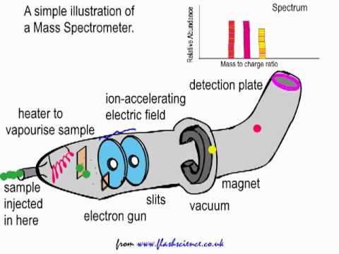 480x360 Simple Explanation Of The Mass Spectrometer. - Sketch Mass Spectrum