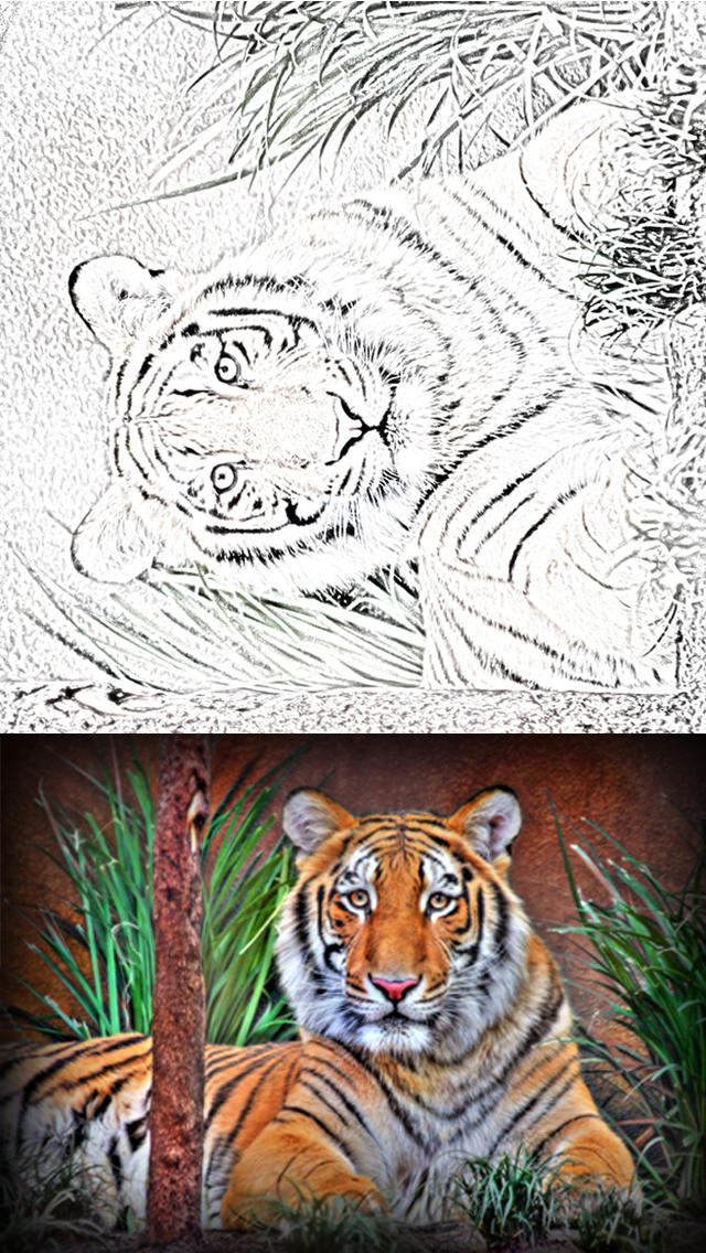 640x1136 One Pass Sketch Me Free - Sketch Me Free