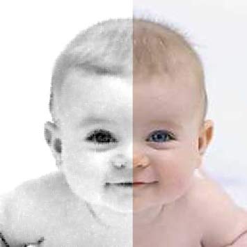 355x355 Sketch Me Appstore For Android - Sketch Me Photo