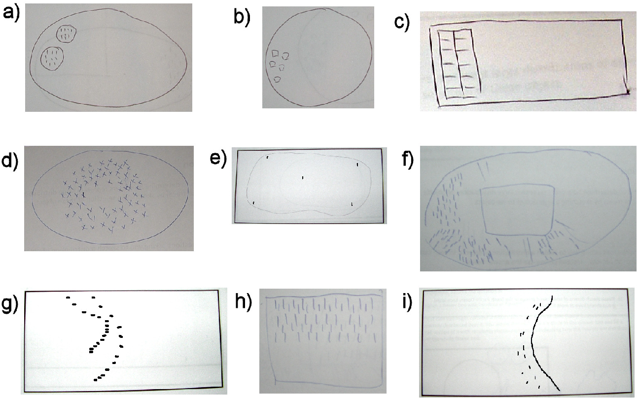 1292x808 Sketch Based Crowd Modelling - Sketch Modelling
