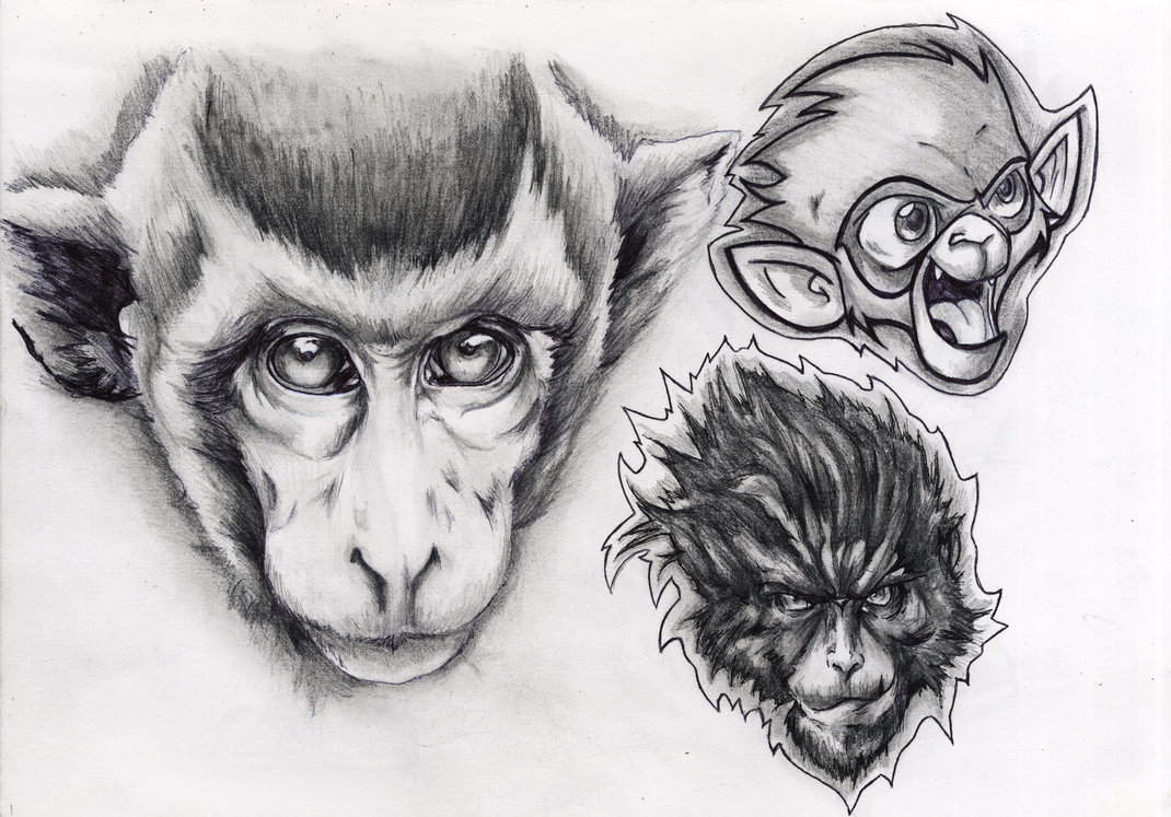 1070x747 Monkey Sketch By Mjwatson - Sketch Monkey