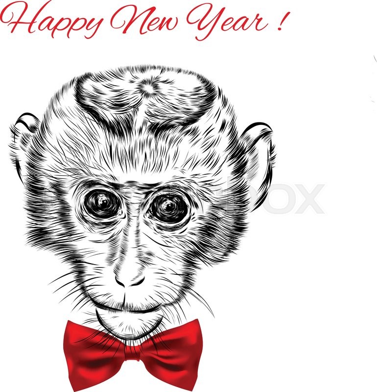 770x800 Sketch Monkey Face With Red Bow. Hand Drawn Doodle Vector - Sketch Monkey