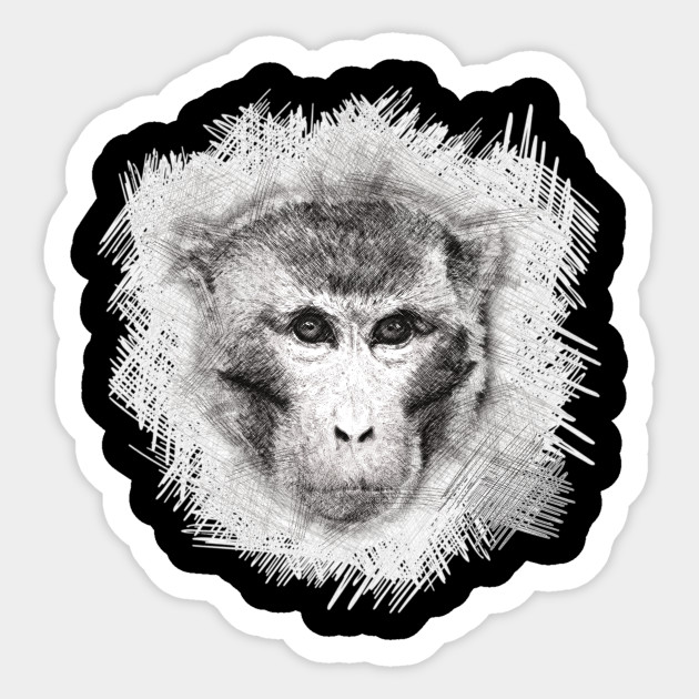 630x630 The King Of A Monkeys Sketch - Sketch Monkey