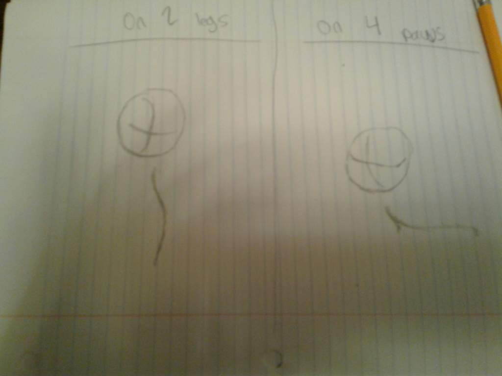 1024x768 Lps Newspaper Article - Sketch Multiplication