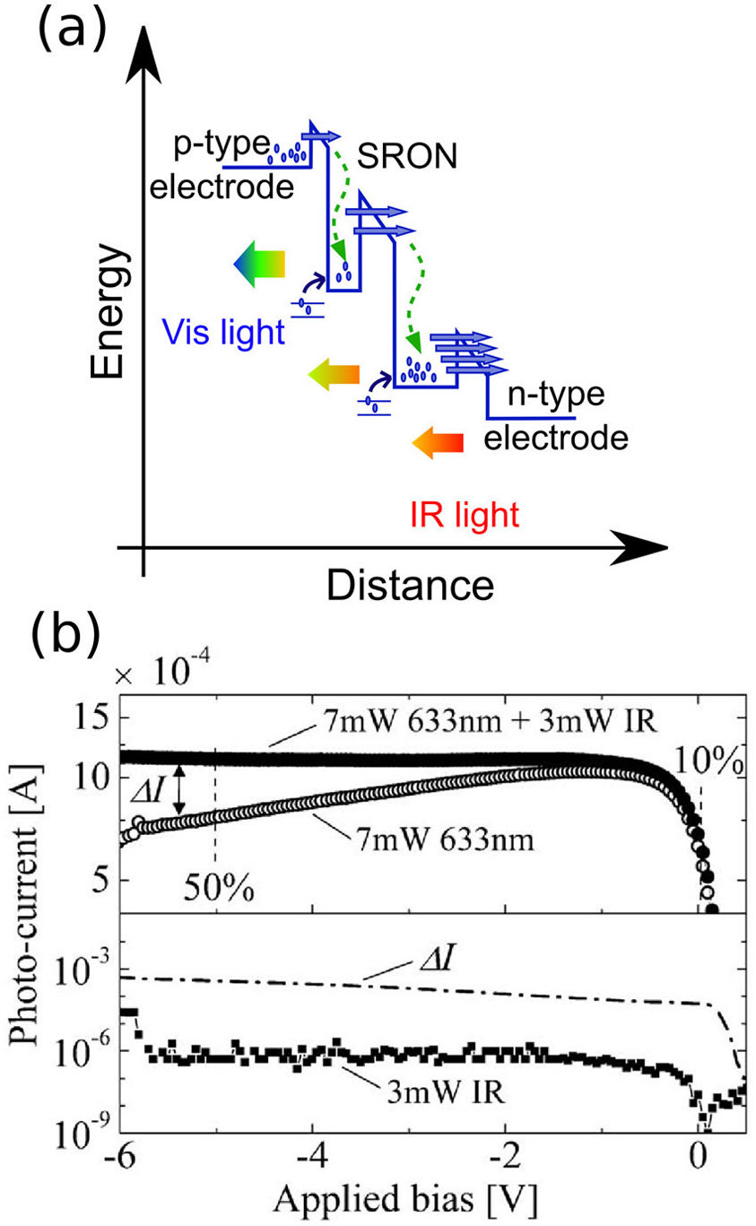 843x1367 A) Qualitative Sketch Of The Internal Multiplication Mechanism - Sketch Multiplication