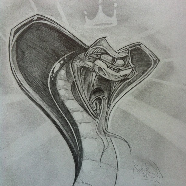 612x612 Another Prelim Sketch. Would Be Nice In Vector For A Skate Type - Sketch My Thing