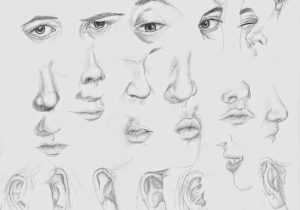 Sketch Nose And Lips At Paintingvalley Com Explore Collection Of