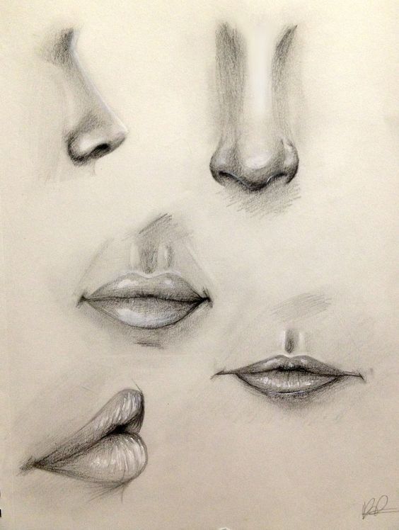 564x748 Nose And Lip Practice By On @ - Sketch Nose And Lips