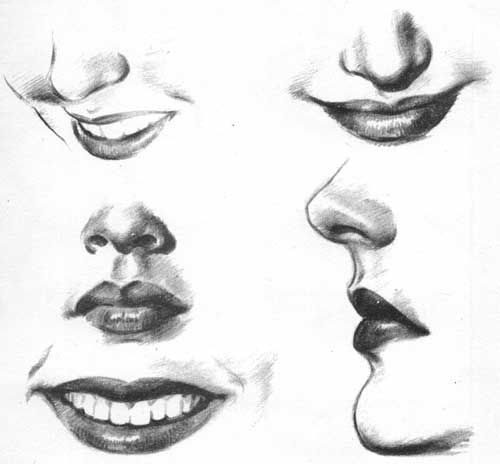 500x464 Pin By Stephanie Smith On Photography And Art - Sketch Nose And Lips