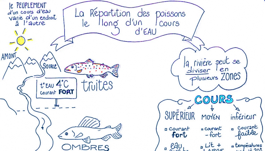 866x495 Le Sketchnoting, Une Visuelle Pour Apprendre Vos Cours - Sketch Noting