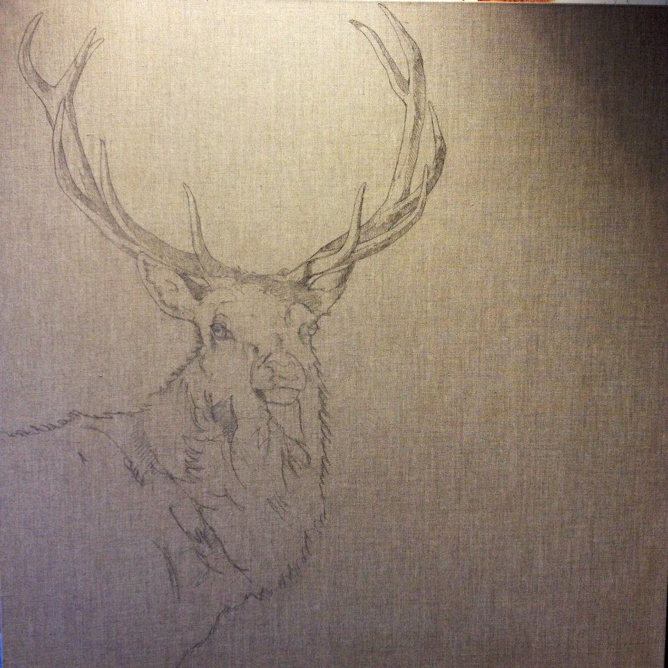 960x960 How To Paint An Awesome Deer - Sketch O Paint